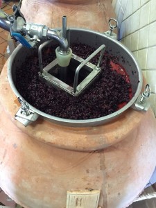 svinatura-vino-orcia-doc-capitoni-pienza