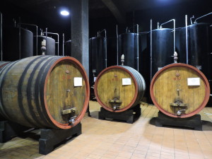 botti-cantina-trequanda