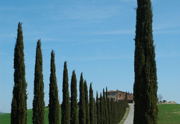 8. Poggio Covili