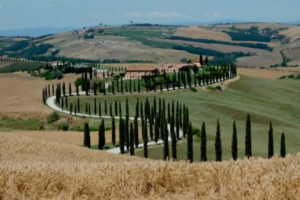9. agriturismo baccoleno
