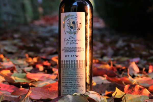 Olio Donatella Cinelli Colombini 1