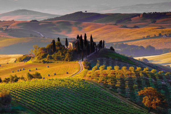 PIENZA2