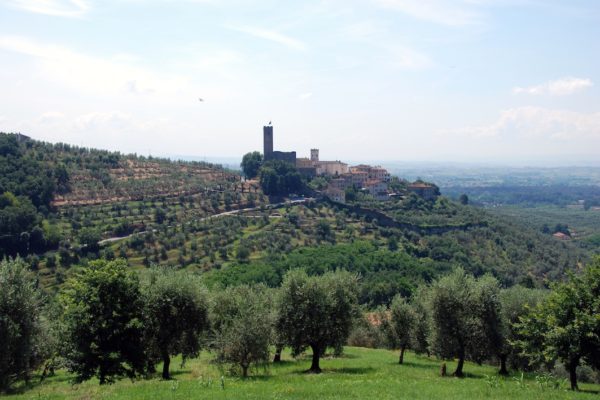 TREQUANDA2